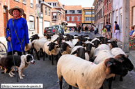 COMINES (COMINES/WARNETON) (B) - Fête des Marmousets 2007 / Troupeau de moutons accompagné de la bergère et des chiens