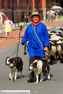 COMINES (COMINES/WARNETON) (B) - Fête des Marmousets 2007 / Troupeau de moutons accompagné de la bergère et des chiens