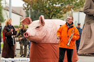 MONTIGNY-EN-OSTREVENT (59) - 40ème Automnales 2007 / Le Cochon - FLOBECQ (B)