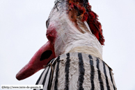 LILLE - Carnaval de Wazemmes 2008 / Irène - STEENWERCK (59)