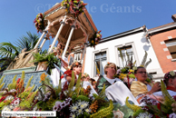 ATH (B) - Ducasse - Cortège (Matin) 2009 / Le char de l'Horticulture – ATH (B)