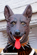 GODEWAERSVELDE - Carnaval 2009 / Tom le chien du fraudeur - GODEWAERSVELDE (59)