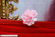 ATH (B) - Ducasse d'Ath 2010 - Cortège du dimanche (matin) / Ambiorix – ATH (B)