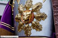 ATH (B) - Ducasse d'Ath 2010 - Cortège du dimanche (matin) / Monsieur Goliath - ATH (B) - Détail de la cuirasse