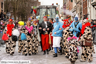 BAILLEUL (59) - Mardi-Gras (Cortège du dimanche) 2010 / Les Pintje Meul - BAILLEUL (59)