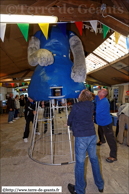 MERVILLE (F) - Journées du Patimoine - Exposition Le Caou 2013 / Ce n'est pas un temps à laisser un chat dehors !