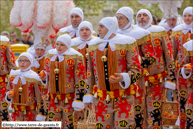 Steenvoorde (F) - Carnaval des Carnavals 2013 / Les Amis Réunis – HOUDENG-AIMERIES (LA LOUVIERE) (B)