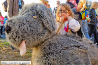  WILLEMS (F) - Carnaval nocturne 2014 / Cherloutte le chien - WILLEMS (F)