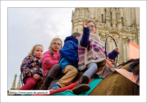 Le Cheval Bayard – DINANT (B)