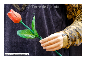 La tulipe d'Ogier de Busbecq - BOUSBECQUE (F)