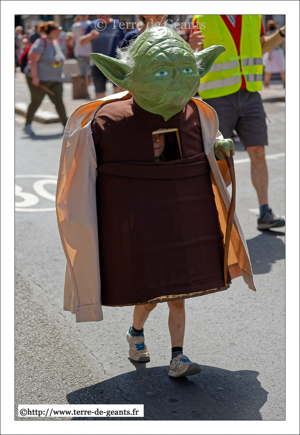 Maître Yoda- DOUAI (F)