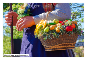 Fiacre – OXELAERE (F)
