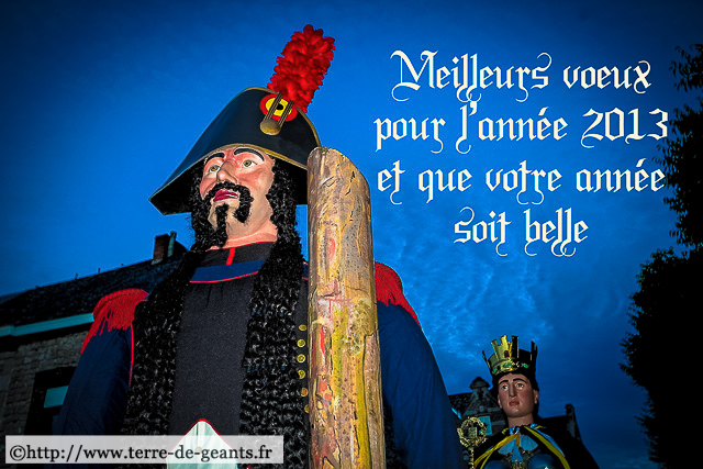 Voeux2013